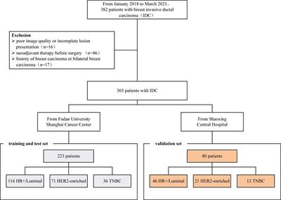 Prediction Breast Molecular Typing of Invasive Ductal Carcinoma Based on Dynamic Contrast Enhancement Magnetic Resonance Imaging Radiomics Characteristics: A Feasibility Study